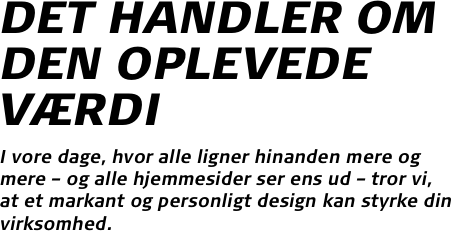 DET HANDLER OM DEN OPLEVEDE