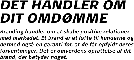 DET HANDLER OM DIT OMDØMME